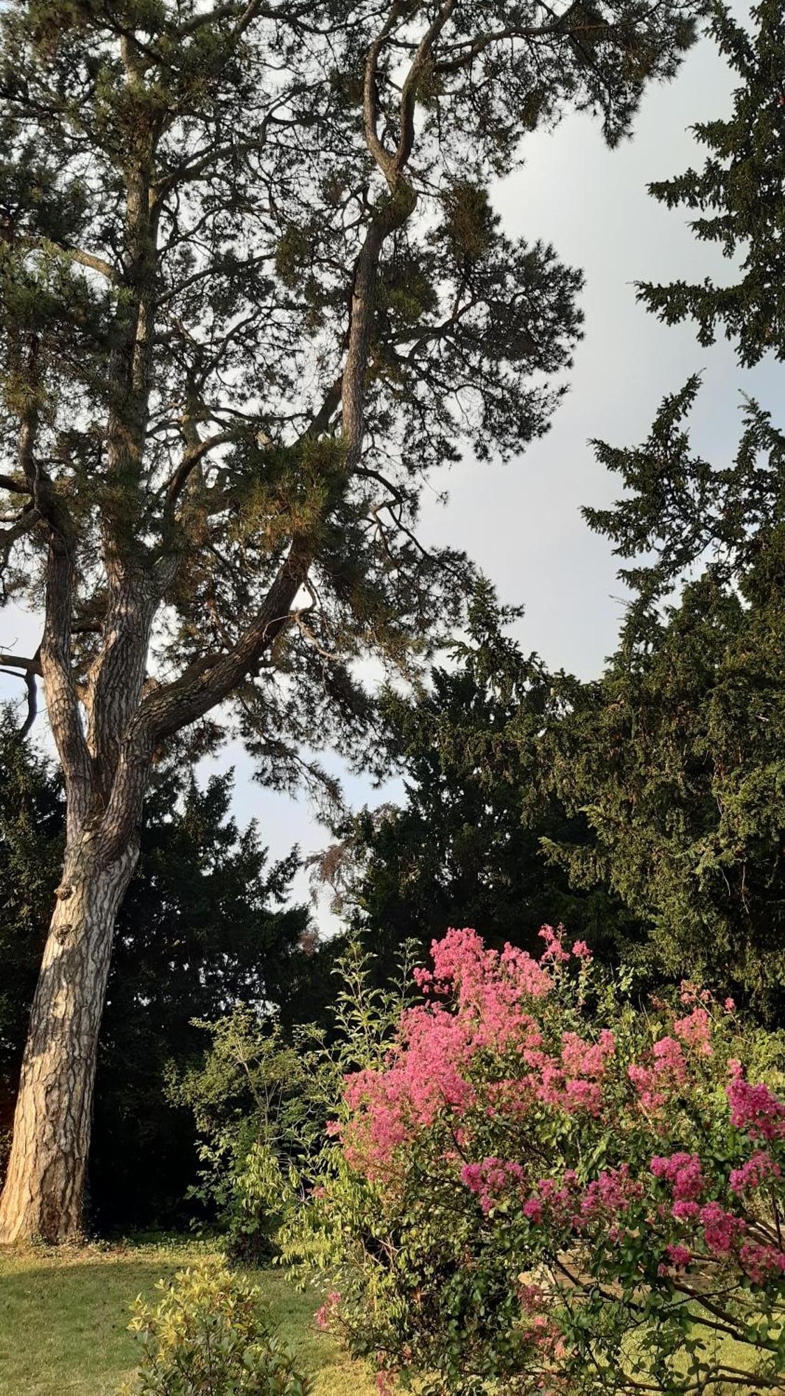 La Heraudiere Bed & Breakfast Tours Exteriör bild